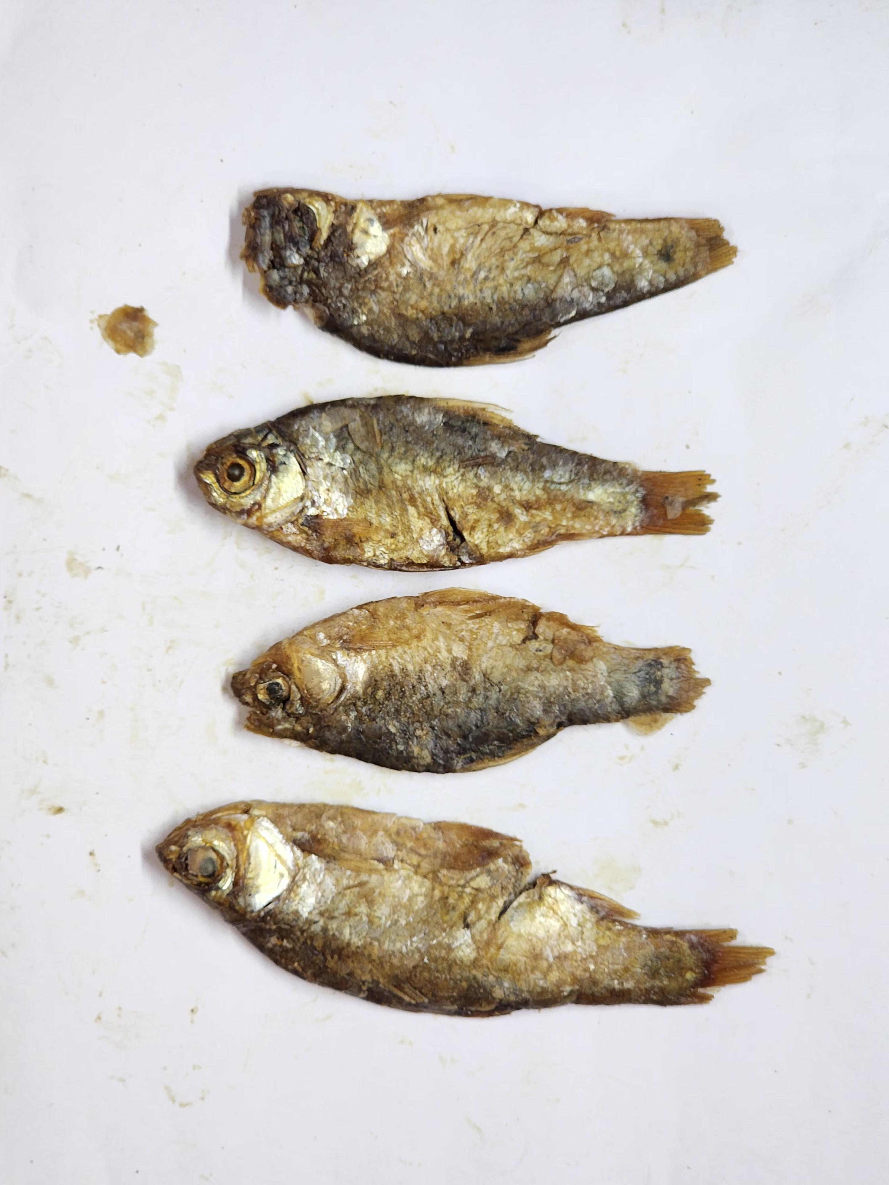 BD_dried_Fish Object Detection Dataset by Wreslab