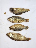 BD_dried_Fish project thumbnail