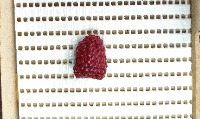 fruit2 project thumbnail