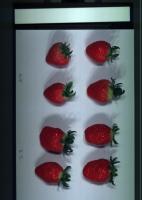 strawberry6 project thumbnail