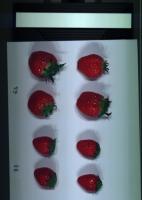 strawberry2 project thumbnail