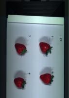 strawberry8-g project thumbnail