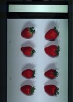 strawberry4 project thumbnail