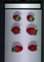 strawberry5 project thumbnail