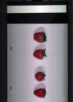 strawberry1 project thumbnail