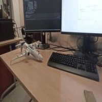 Dataset Image