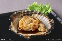 scallop2 project thumbnail