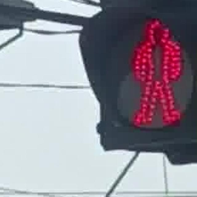 pedestrian Red LIGHT Object Detection Dataset by Diego Pastrana