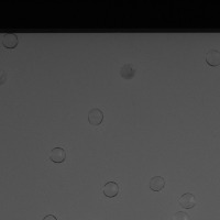 top_1664_four_class 3 project thumbnail
