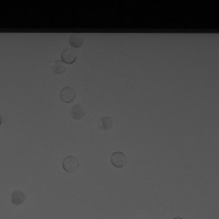top_1664_four_class 4 project thumbnail