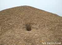 bare soil project thumbnail