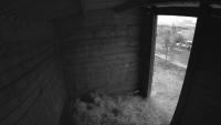 Detection box vide project thumbnail