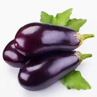 Eggplant disease project thumbnail