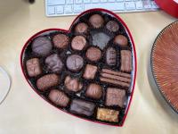 Praktikum-Deteksi-Cokelat project thumbnail