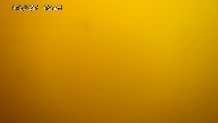 DETECTION project thumbnail