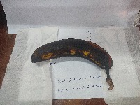 Banana condition detetction project thumbnail