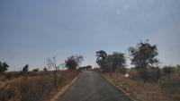 Road Segmentation project thumbnail