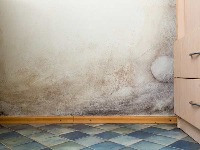 Mould Project - NEW project thumbnail