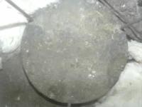 chicken scale project thumbnail