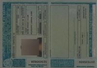 Document project thumbnail