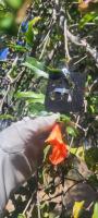 Agricultural System5 project thumbnail