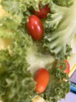 tomato project thumbnail