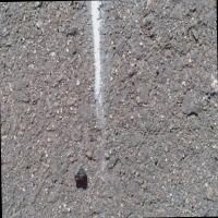 Line_detection_additional_data2 Object Detection Dataset by ...