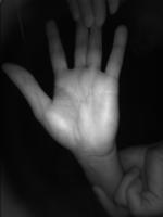 palm_dataset_ project thumbnail