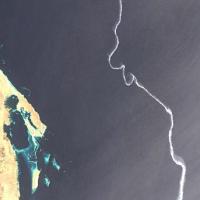oilspill_project project thumbnail