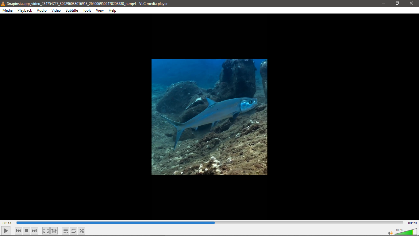 AI Project Object Detection Dataset and Pre-Trained Model by AI Project