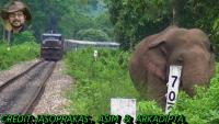 elephant_23_april project thumbnail