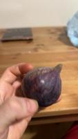 Fruits project thumbnail