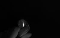 lifelong project thumbnail