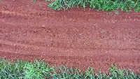 pineaple fruit count project thumbnail