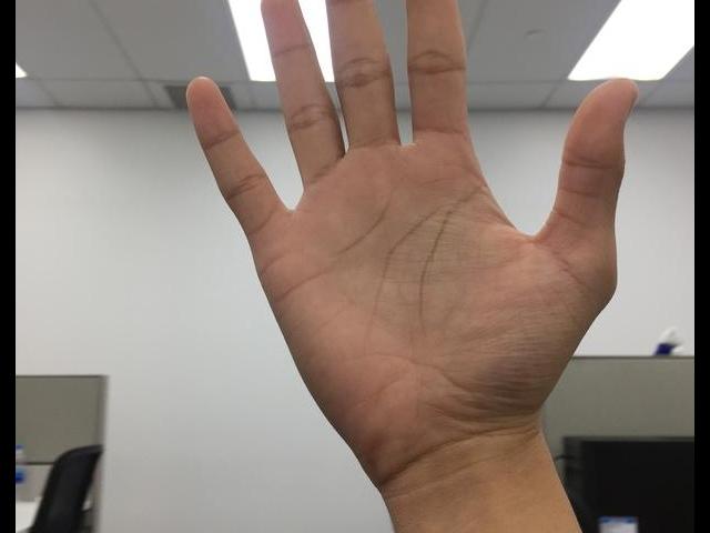 hands-test Object Detection Dataset by Harbor Parcels