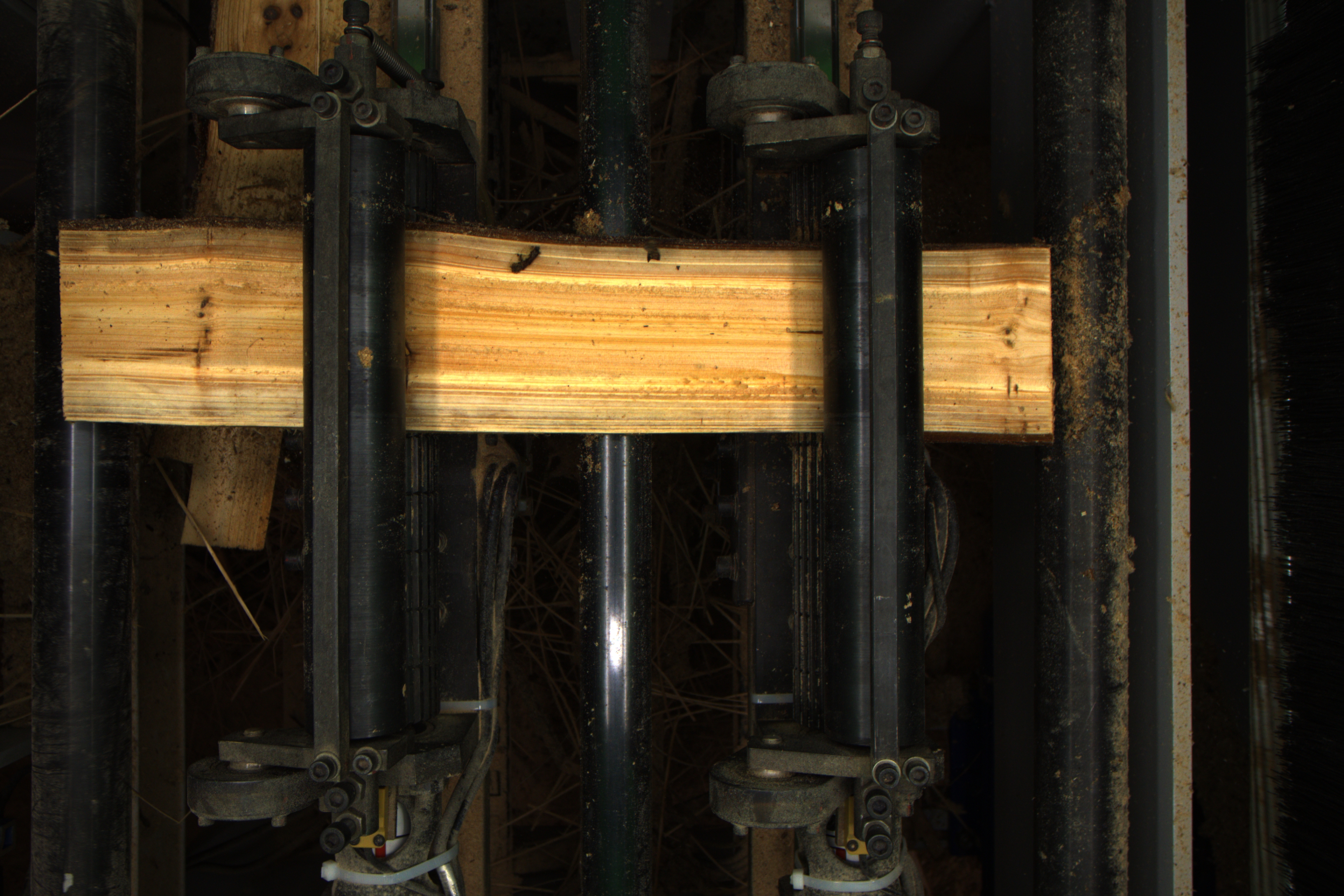 Wood inspection Instance Segmentation Model by realgsg