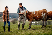 Project Cow project thumbnail