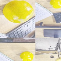 Dataset Image