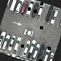 Dataset Image
