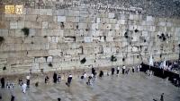 West Asia (2)，50人/plaza：no. 3, 5 project thumbnail