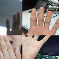 Dataset Image