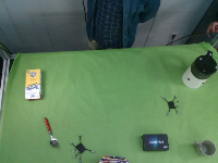 Dataset Image