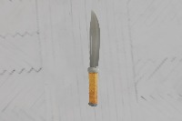 Dataset Image