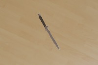 Dataset Image