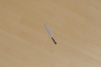 Dataset Image