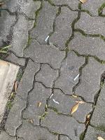 Cigarette Butt Detection project thumbnail