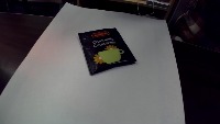 Dataset Image