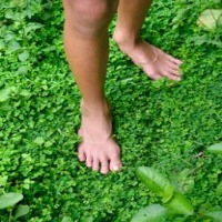foot project thumbnail