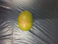 tomato project thumbnail