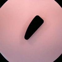 80286-Black project thumbnail